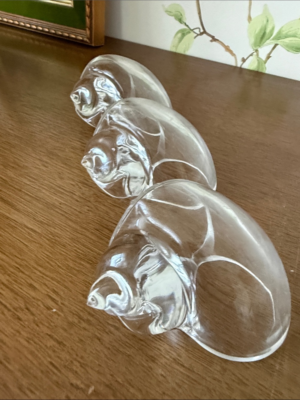 Vintage Lucite Coastal Conch Sea Shell Napkin Rings Holders - Set of 3